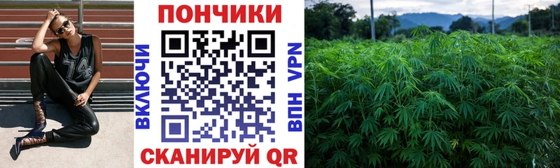 сколько стоит  Барабинск  кракен ссылки  МАРИХУАНА Ganja 